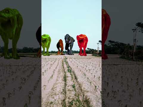 Big dinosaur Chase t-rex chasing part-313#shortsviral #youtubeshorts #subscribe #dinosaur