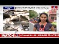 మృగశిర కార్తె..చేపల మార్కెట్లలో పెరిగిన రద్దీ |Heavy Rush in Ramnagar Fish Market |Mrugasira Karthe - 03:42 min - News - Video