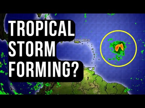 Tropical Storm Possible Next Week…