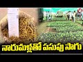 Gorund Report : New Turmeric Farming Invented By Kammarpally Turmeric Research Scientist | V6 News