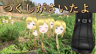 【お酒配信】つくしを愛でて佃煮にして酒飲む春祭り