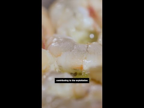 CNN investigates forced labor in India’s shrimp supply chain