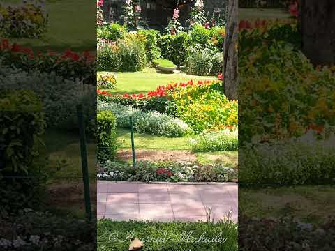 It's hard to think of any caption at the moment 😅, Any suggestions? #viral #trending #youtubeshorts