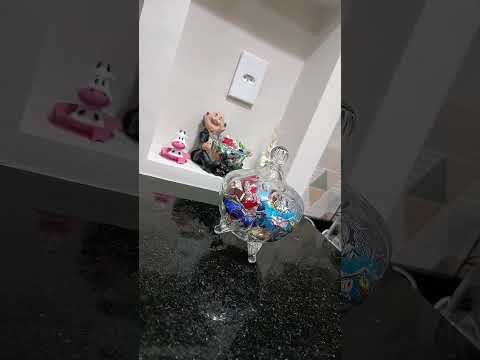 🏠💕😻🙏🏻 #casalimpa #organizandominhacasa #limpezasatisfatoria #rotina #fy