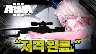 전장에서 저격수가 필요한 이유 [아르마 삼국지]