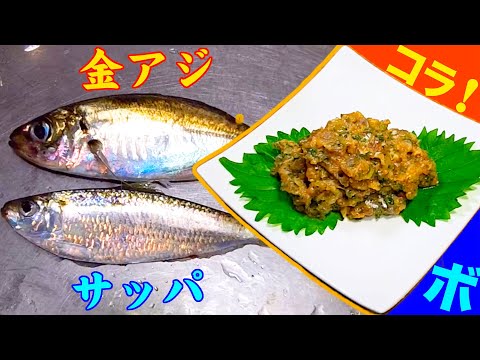 連日の金アジ好釣に調子コイてサビキ釣りにノコノコ出掛けた欲深い釣人は・・【欲深パワーが生み出す美味しい晩酌】