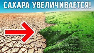 Сахара увеличивается и поглощает зеленые земли!