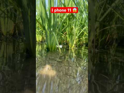 I phone 11 😱#khetibadi #trending #travel #punjabisong