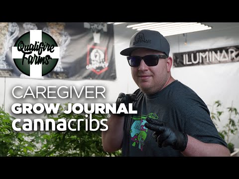 Caregiver Grow Journal - Lighting, Plumbing, and Environmental Build Out - Qualifire Farms (E4)