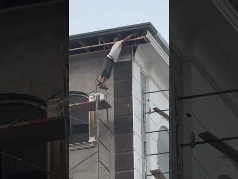 Aren't these experts too fearless or are they tired of their lives? #shorts #viral #fypシ #trending