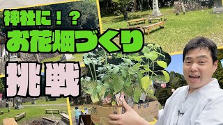【境内にお花畑⁉】宮司が花と野菜を植える日常｜神主のお仕事×クラウドファンディング