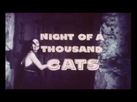 La noche de los mil gatos'