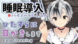 🛑【Binaural/黒3Dio】本気で眠りたい人のためのじっくり奥まで耳かき 2025.9.17【にじさんじ/鈴木勝】