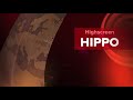 highscreen hippo