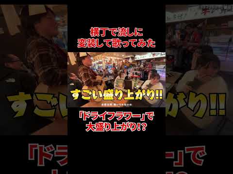 横丁の流しで「ドライフラワー」歌ってみたら大盛り上がり！！#shorts