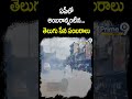 ఏపీలో అంబరాన్నంటిన తెలుగు సేన సంబరాలు | Celebrations In Andhra Pradesh | Shorts | Prime9 News  - 00:59 min - News - Video