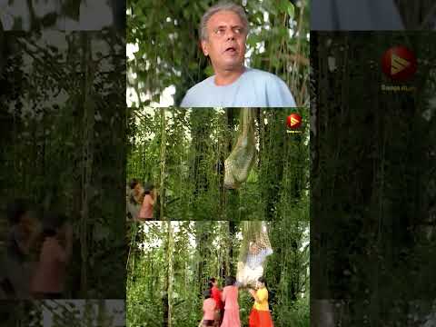 എന്നെയൊന്ന് ഇറക്കിവിട് കുരുത്തംകെട്ട കുട്ടികളേ | Kaliyoonjal Movie Scene#evergreen #malayalam