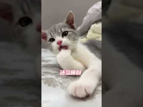 Performance 💞💞 #shorts #shortsfeed #trendingshorts #performance