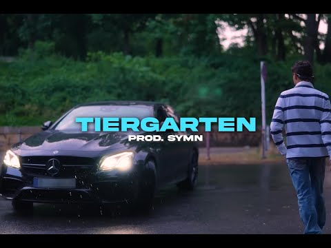 (FREE) Pashanim x Kev Koko type beat "Tiergarten" (prod. symn)