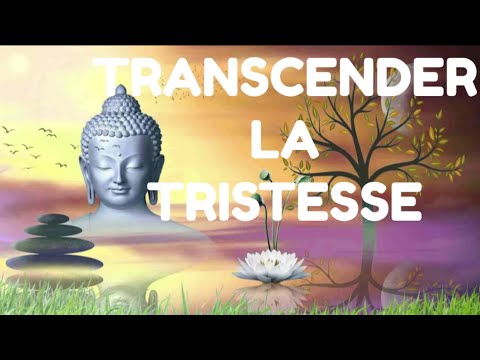 TRANSCENDER LA TRISTESSE