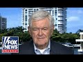 Newt Gingrich calls out liberal hypocrisy: Soft