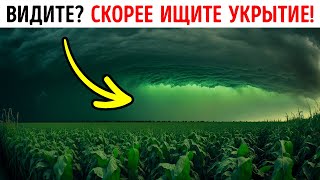 50 советов для случаев, которые, как вы надеетесь, никогда не произойдут