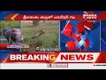 Operation Gaja against Elephant menace in Srikakulam