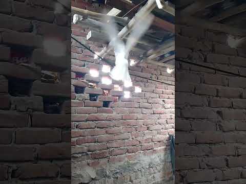 #raise pigeons #pigeon #kabutar #birds #kabootar #shorts🙆🧑🦳🕊️🕊️🕊️🕊️🙆 #pigeon status