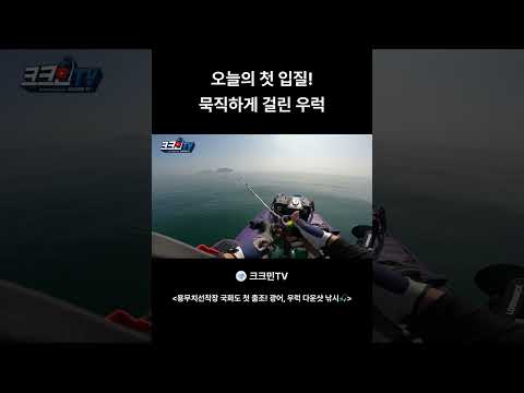 묵직하게 걸린 <strong>우럭</strong>
