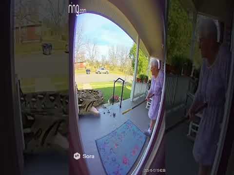 Real footage 🤣🤣 #shorts #ai #funny #humor #ytshorts