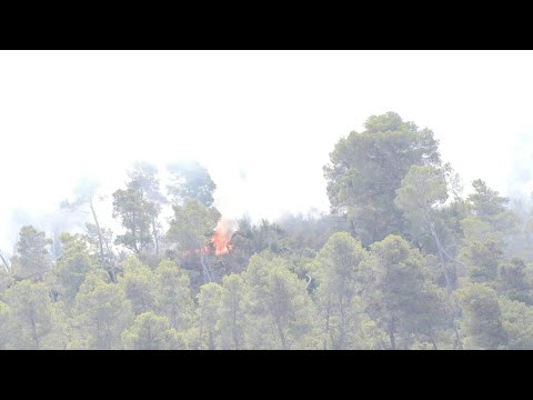 Wildfire in southern France: Firefighters battle to contain blaze as it enters third day | AFP