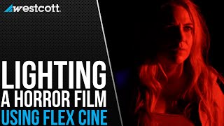 Westcott 7533 Flex 2 X 2 Daylight Cine Set Led Lighting Buy Abelcine