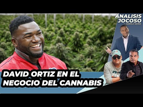 ANALISIS JOCOSO - WAOOOO! LA NUEVA DE DAVID ORTIZ