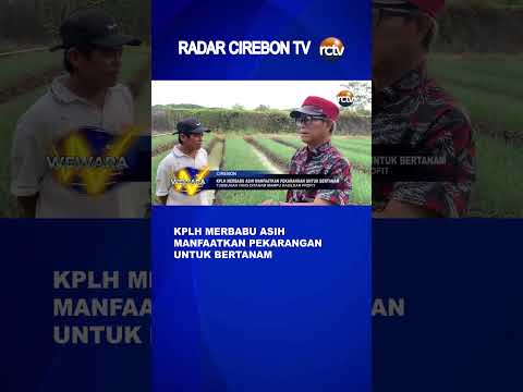 KPLH Merbabu Asih Manfaatkan Pekarangan untuk Bertanam