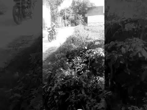 #Video#Kal Nahi Aana Mujhe Nahi Bhulana#new video#trending video# shorts