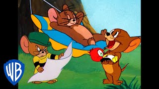 Tom a Jerry - O jerrym
