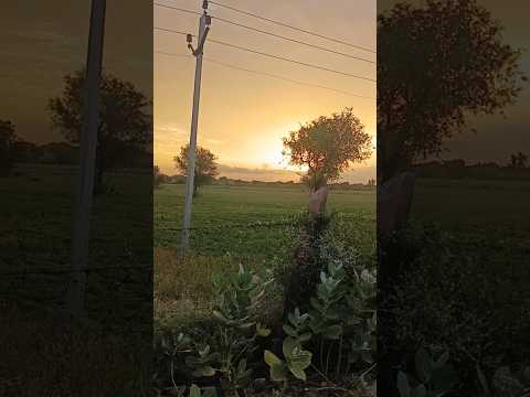 new haryanvisong#shortvideo#rajasthaniclture#trendingsong#viralvideo#trendingsong