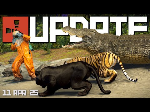 Video Thumbnail 13