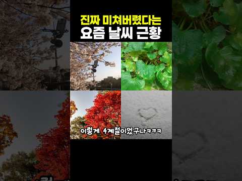 진짜 미쳐버렸다는 요즘 <strong>날씨</strong> 근황