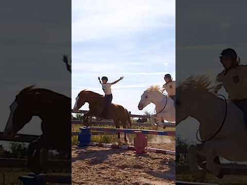 Jumping May and Whisper Tackless! 😍😍 @CollectHorsemanship #mustanghorse #equestrians