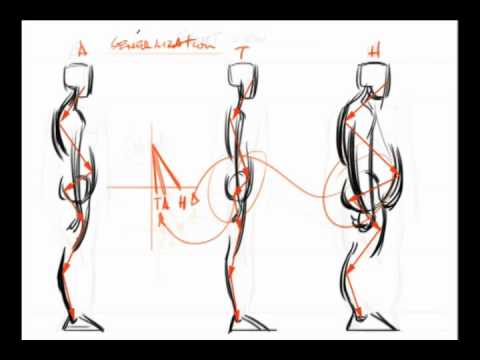 force drawing anatomy