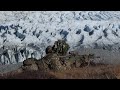 Danish-led joint military training tests capabilities in Greenland | REUTERS