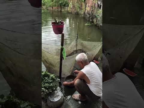 Mỗi năm trôi qua cha tôi lại già thêm một tuổi