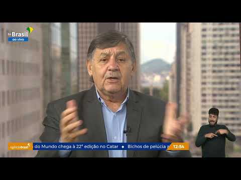 Repórter Brasil Tarde, 15/11/2022