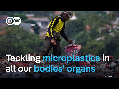 Plastic pollution reaches 52 million tonnes a year: Can latest UN treaty change this? | DW News