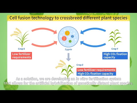 【NTT】Crop breeding technologies for achieving low environmental impact agriculture