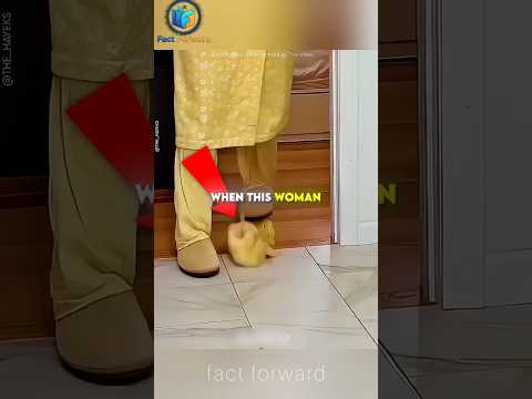 Naughty Duck vs Owner! 🦆💥 #Shorts