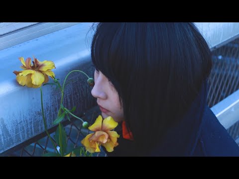 わたしのねがいごと。「オリオン座」Music Video