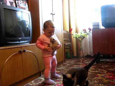 Жестока расправија на детенце со мачка