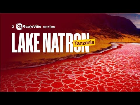 Africa Wonder Nature Series  | Lake Natron, Tanzania